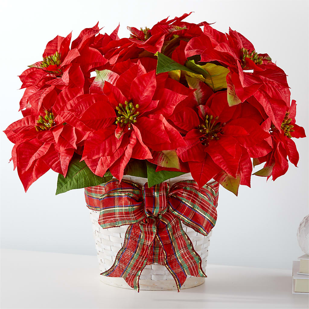 Happiest Holidays Poinsettia – Dutch Floral, Edina MO