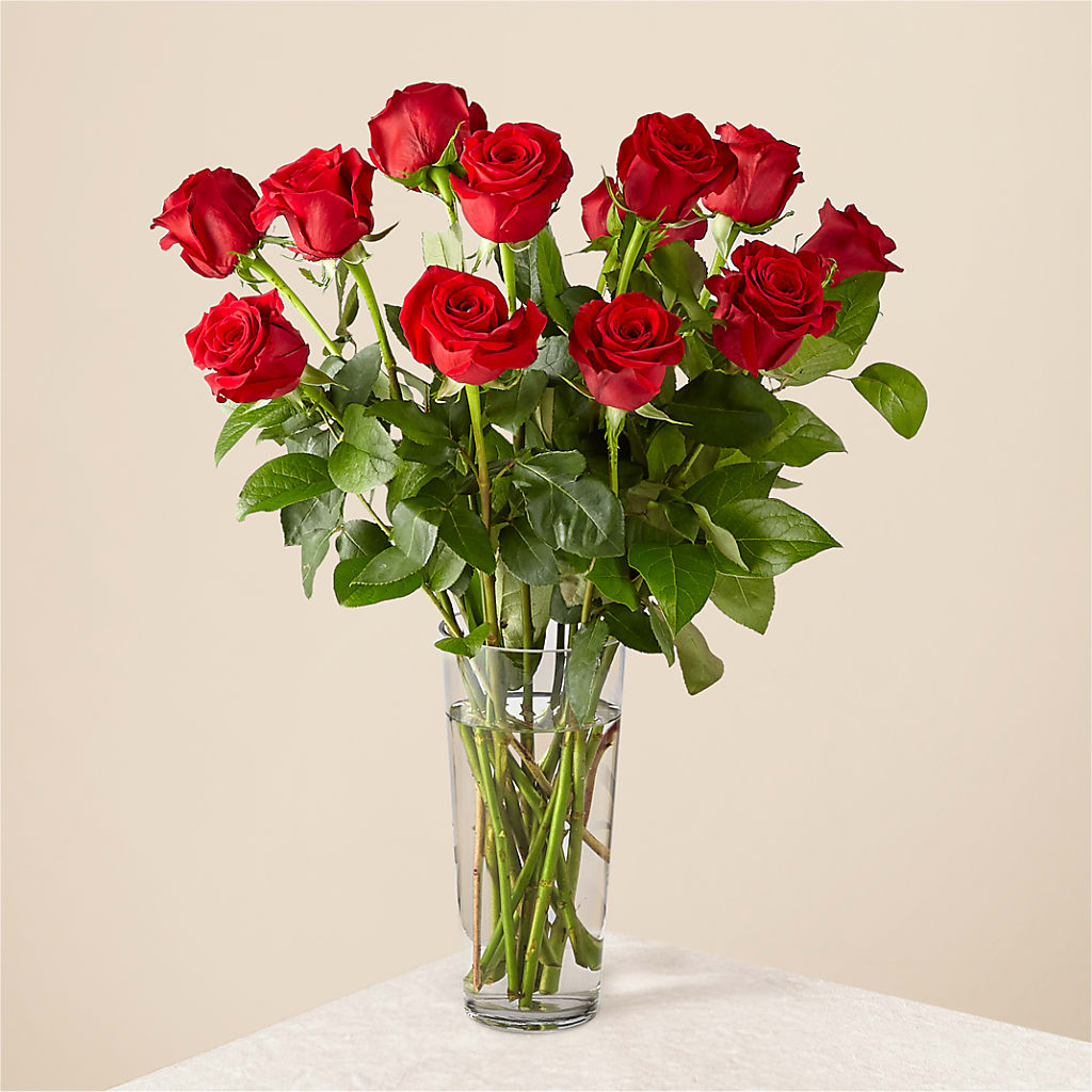 Long Stem Red Rose Bouquet – Dutch Floral, Edina MO