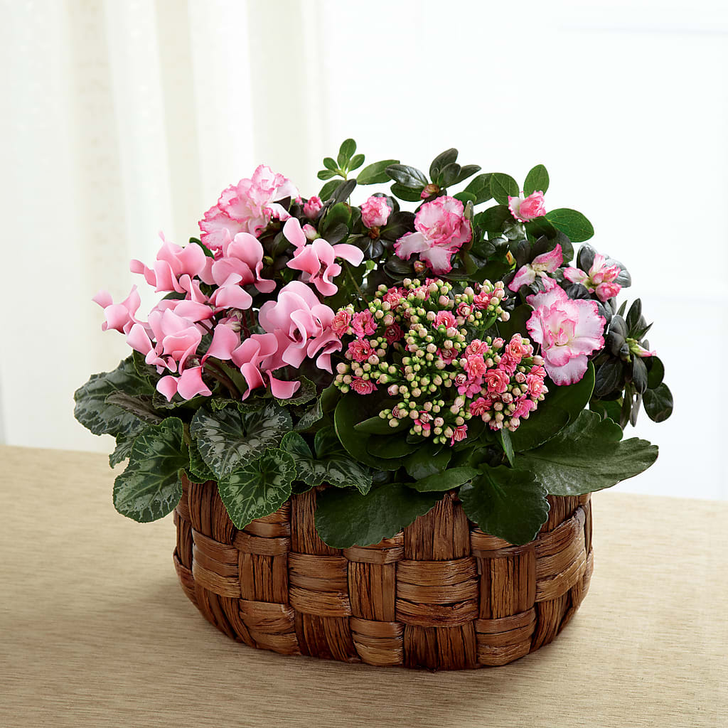 Pink Assortment – Dutch Floral, Edina MO
