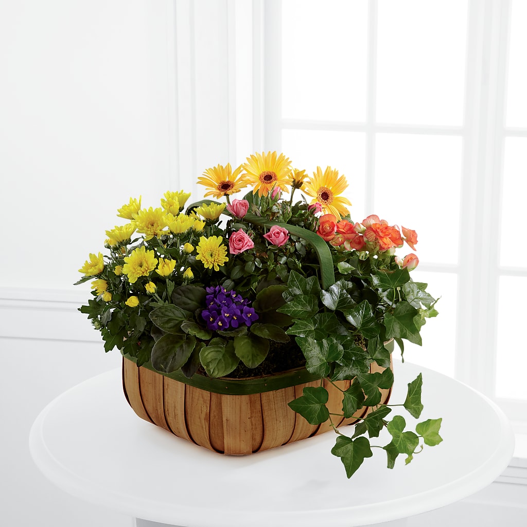 Gentle Blossoms Basket – Dutch Floral, Edina MO