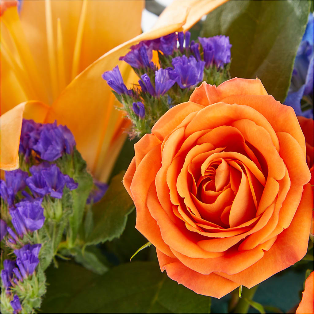 Radiant Citrus Box Bouquet – Dutch Floral, Edina MO
