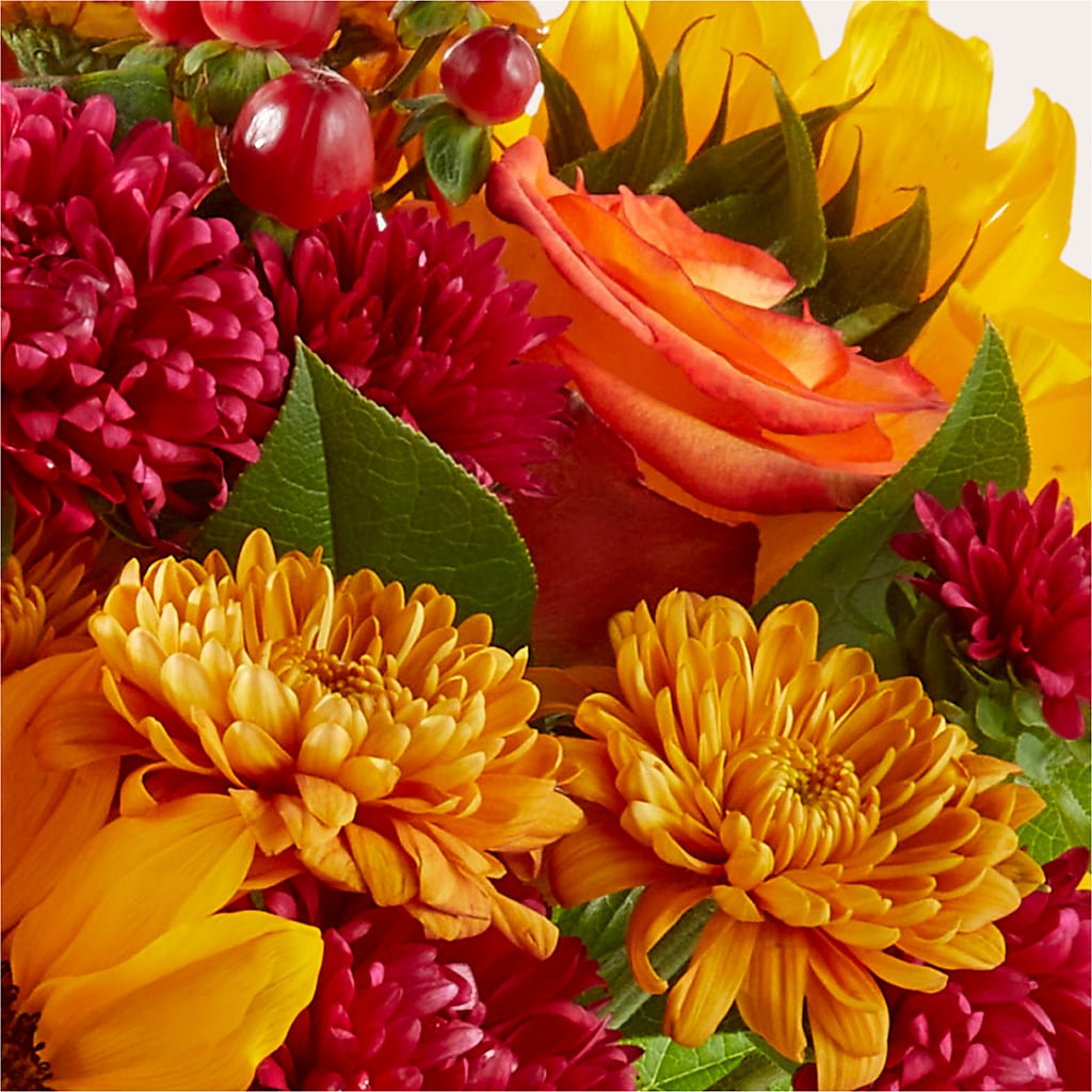 Sweater Season - A Florist Original – Dutch Floral, Edina MO
