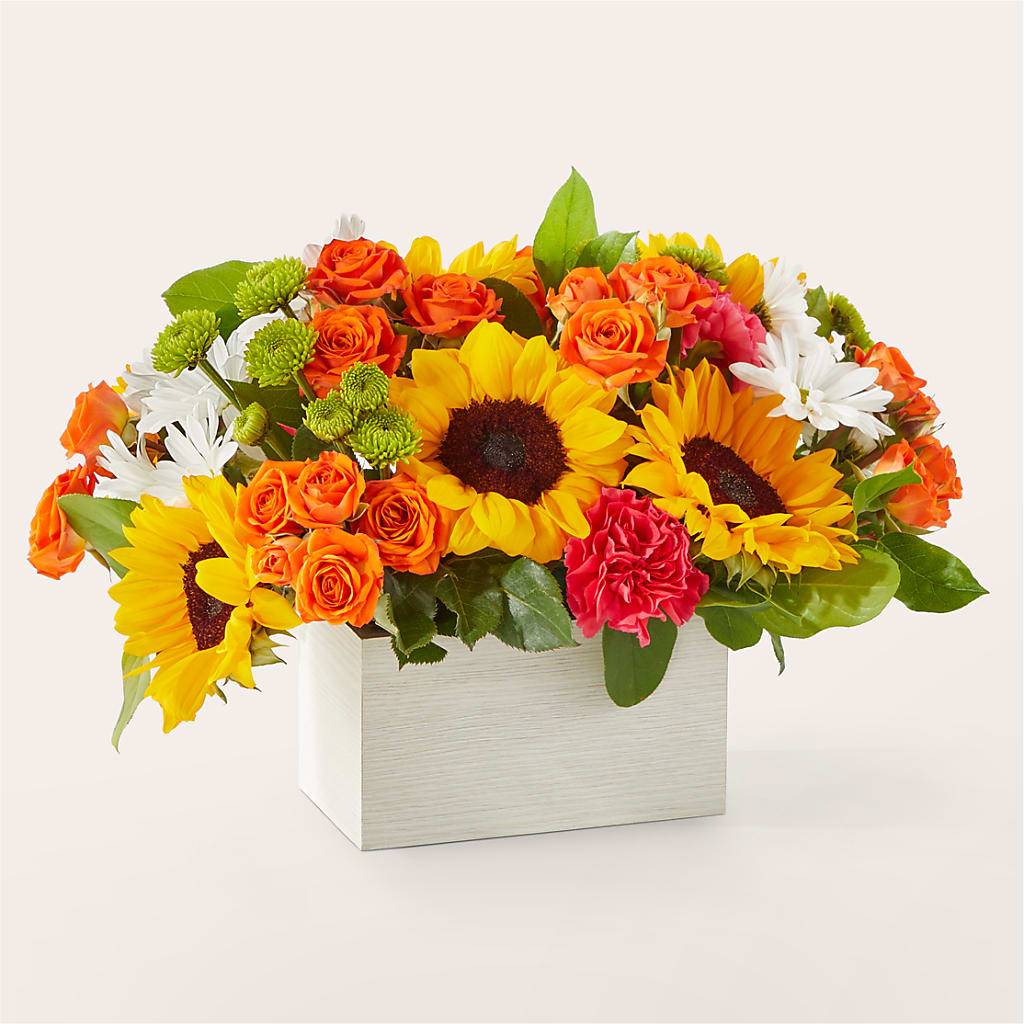 Sun-drenched Blooms Box Bouquet – Dutch Floral, Edina MO