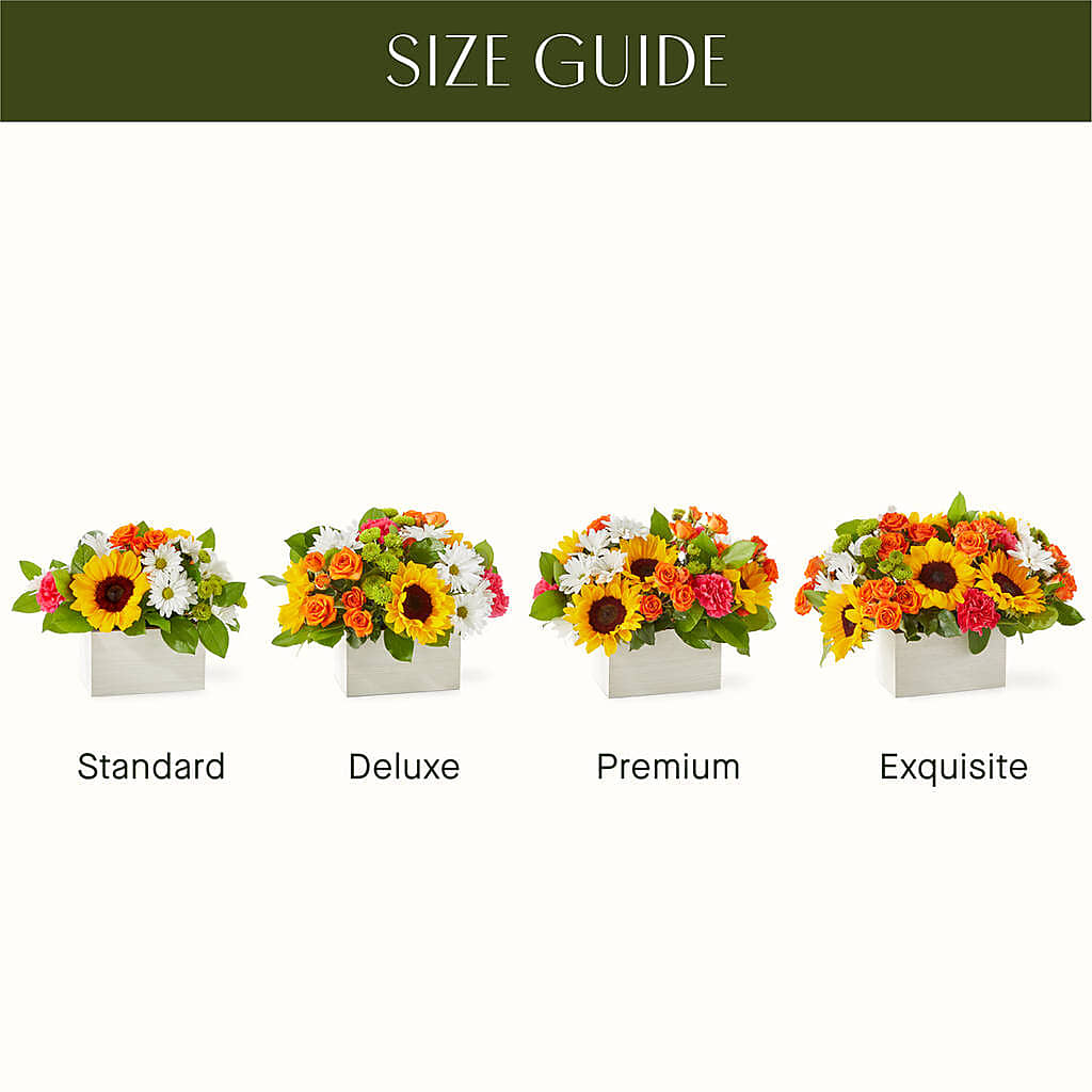 Sun-drenched Blooms Box Bouquet – Dutch Floral, Edina MO