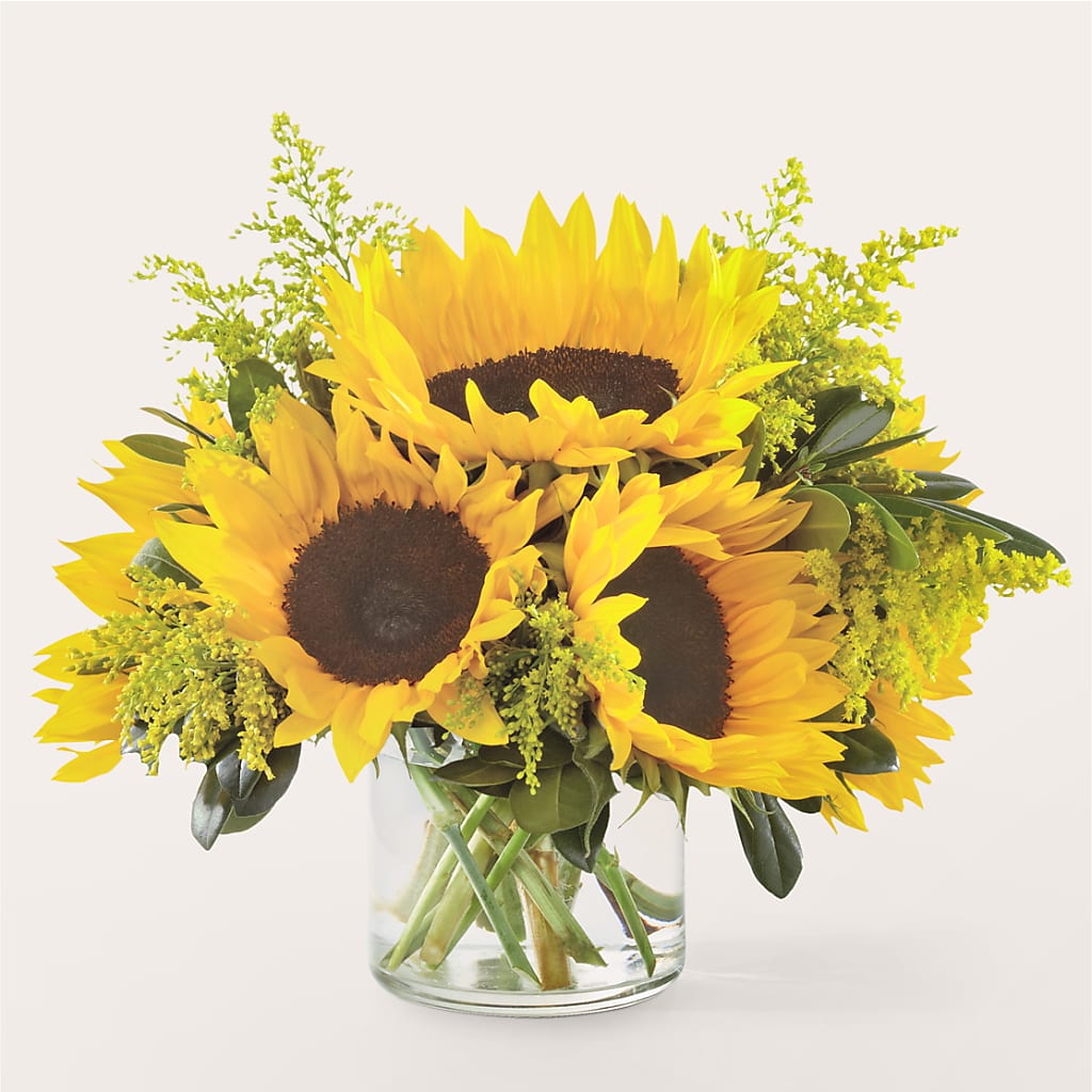 Beaming Sunflower Bouquet – Dutch Floral, Edina MO