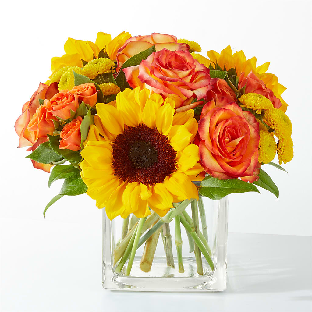 Picnic in the Park Bouquet – Dutch Floral, Edina MO