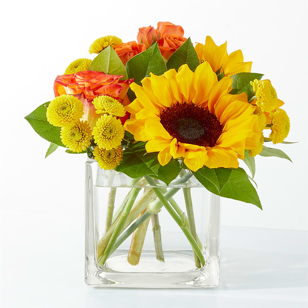 Picnic in the Park Bouquet – Dutch Floral, Edina MO