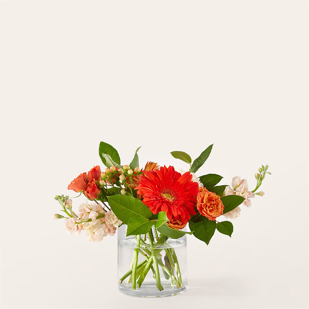 Paloma Please Bouquet – Dutch Floral, Edina MO