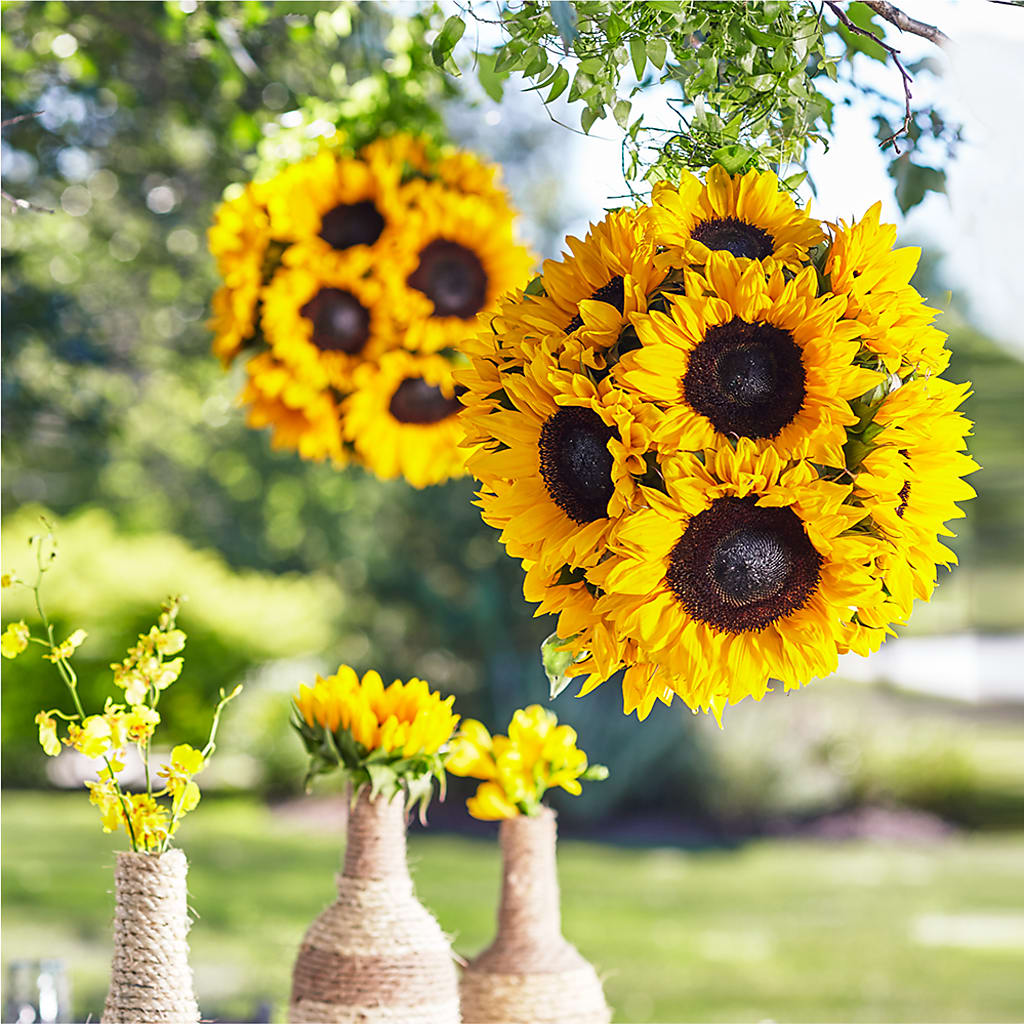 Sublime Garden Hanging Arrangement – Dutch Floral, Edina MO