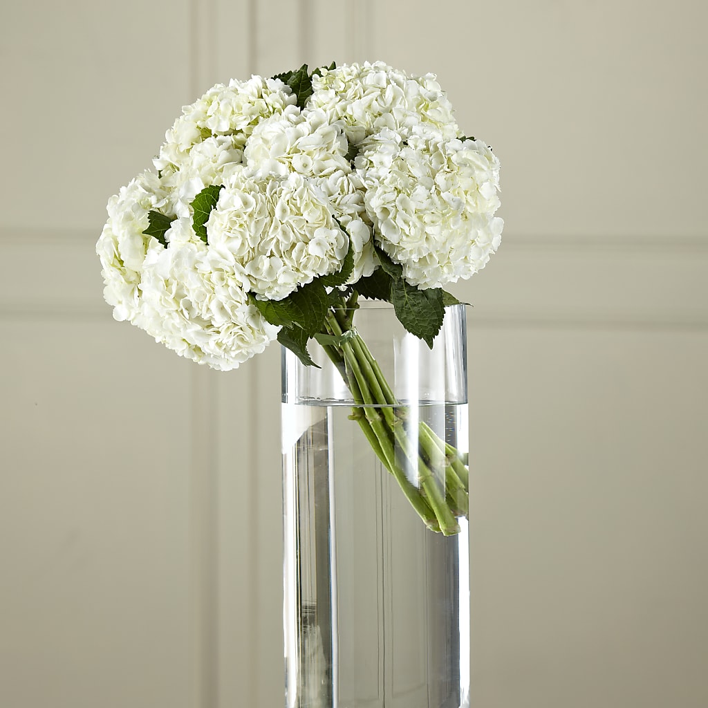 White Hydrangea Hand-Tied Bouquet – Dutch Floral, Edina MO