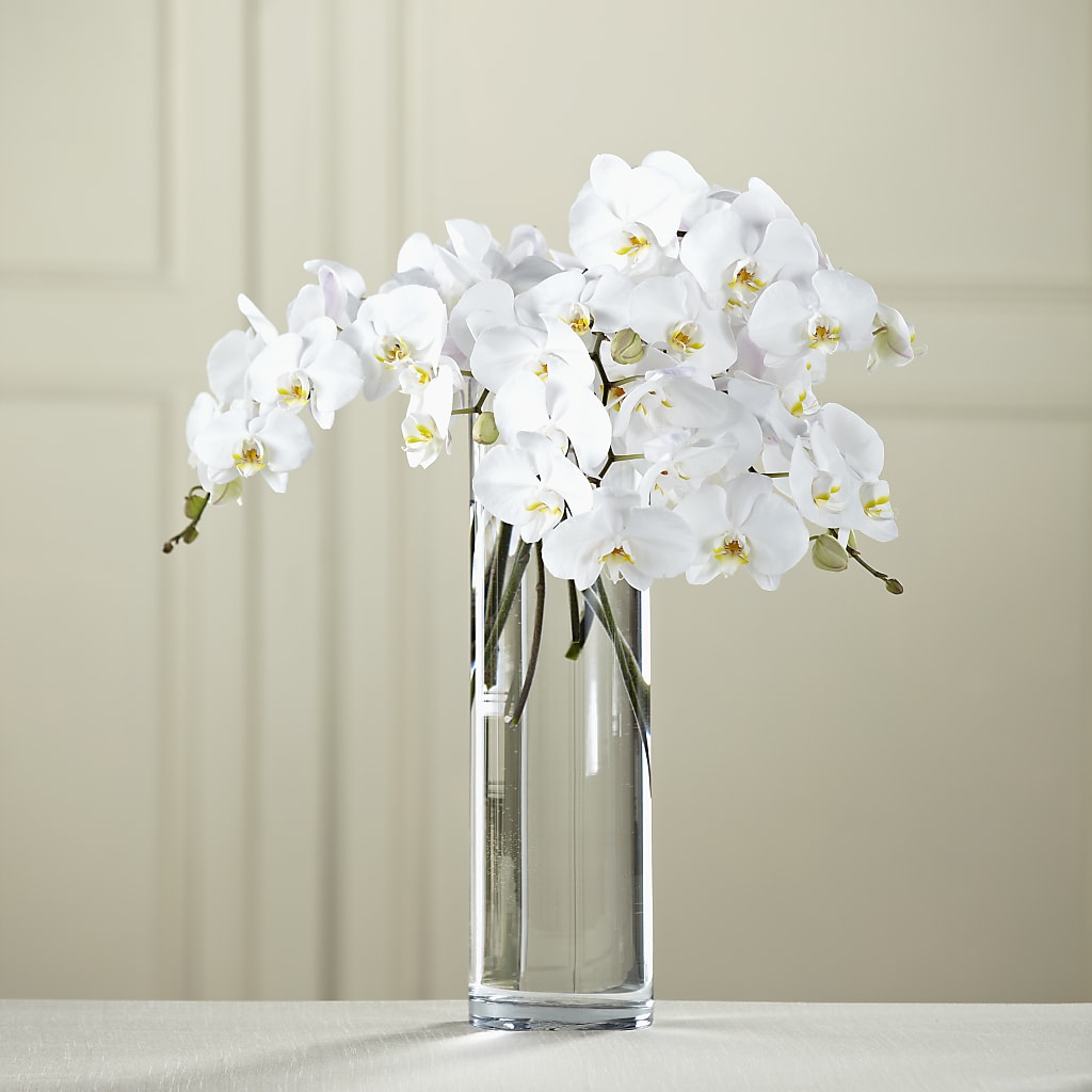 White Phalaenopsis Bouquet – Dutch Floral, Edina MO