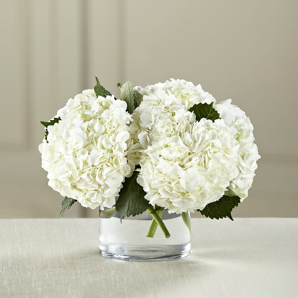 White Hydrangea Bouquet – Dutch Floral, Edina MO