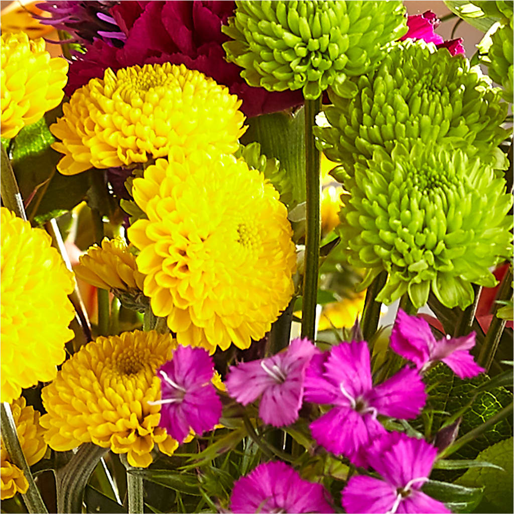 Bold & Bright – A Florist Original –  Dutch Floral, Edina MO