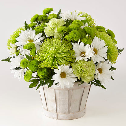 Lucky Charm Basket (Standard) –  Dutch Floral, Edina MO