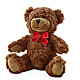 Adorable Plush Bear –  Dutch Floral, Edina MO