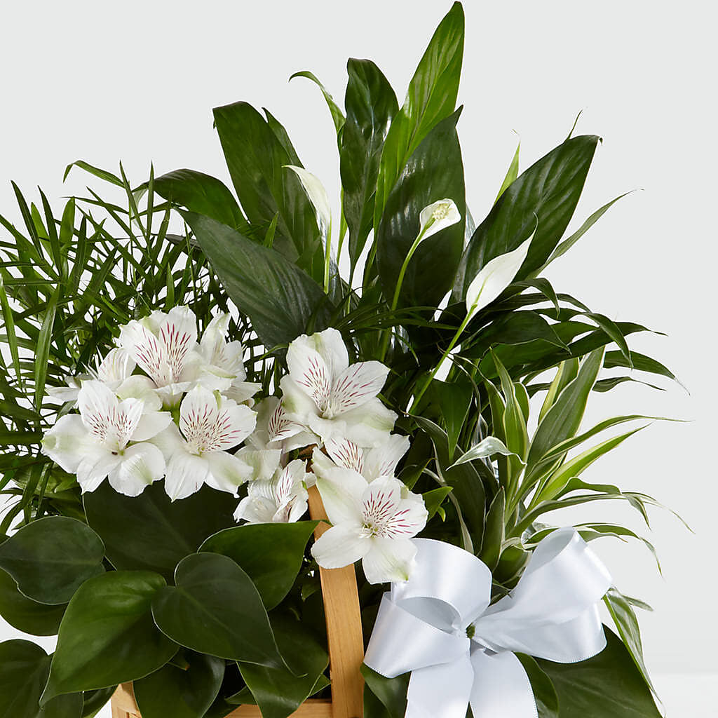 Peace & Serenity Dishgarden –  Dutch Floral, Edina MO