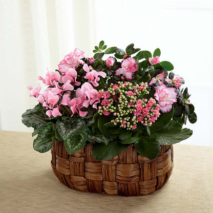 Pink Assortment –  Dutch Floral, Edina MO