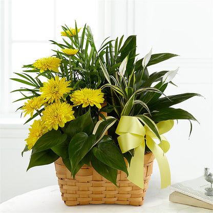 Loving Light Dishgarden –  Dutch Floral, Edina MO