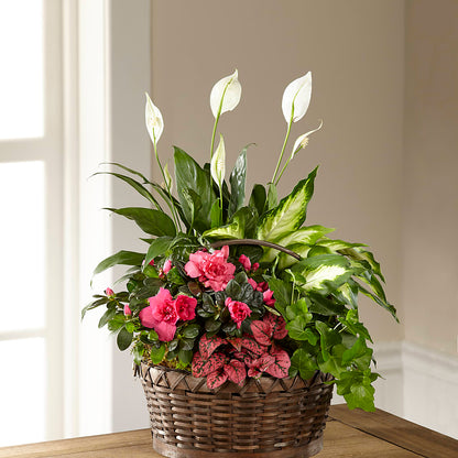 Dream in Pink Dishgarden –  Dutch Floral, Edina MO