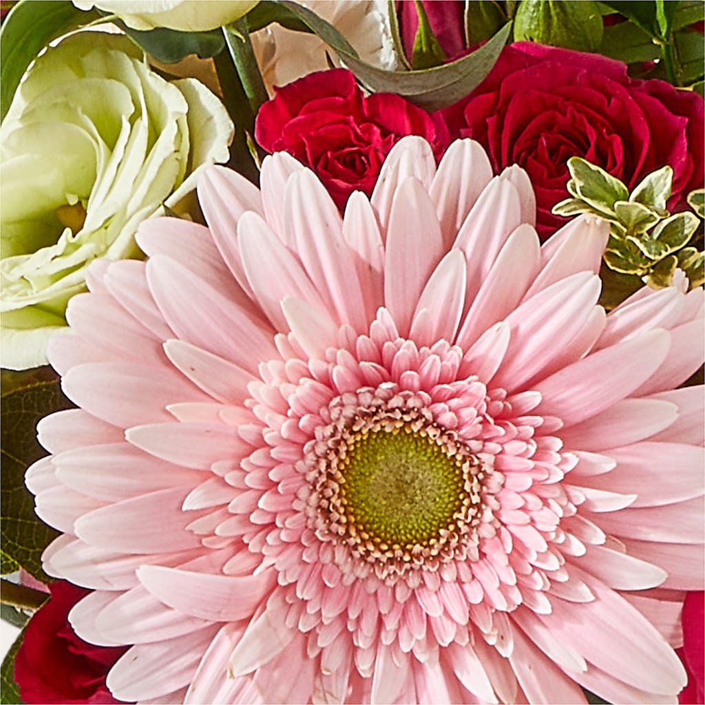Too Cute Bouquet –  Dutch Floral, Edina MO