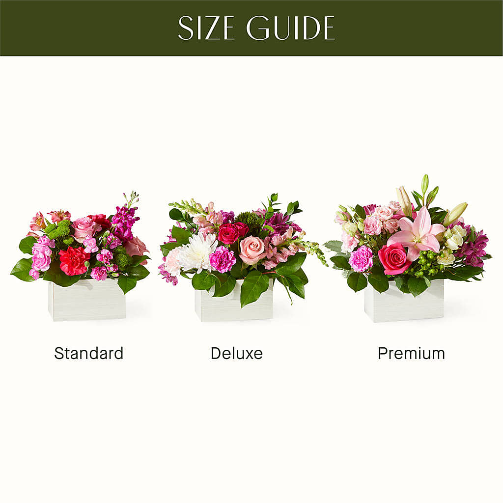 Sweetberry Box – A Florist Original –  Dutch Floral, Edina MO