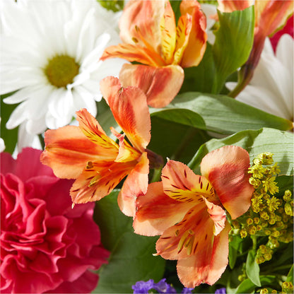 Oopsie Daisy Box Bouquet –  Dutch Floral, Edina MO