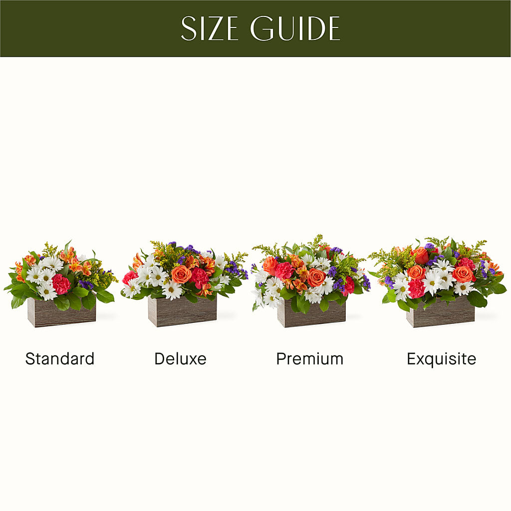 Oopsie Daisy Box Bouquet –  Dutch Floral, Edina MO