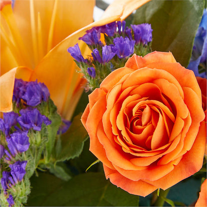 Radiant Citrus Box Bouquet –  Dutch Floral, Edina MO