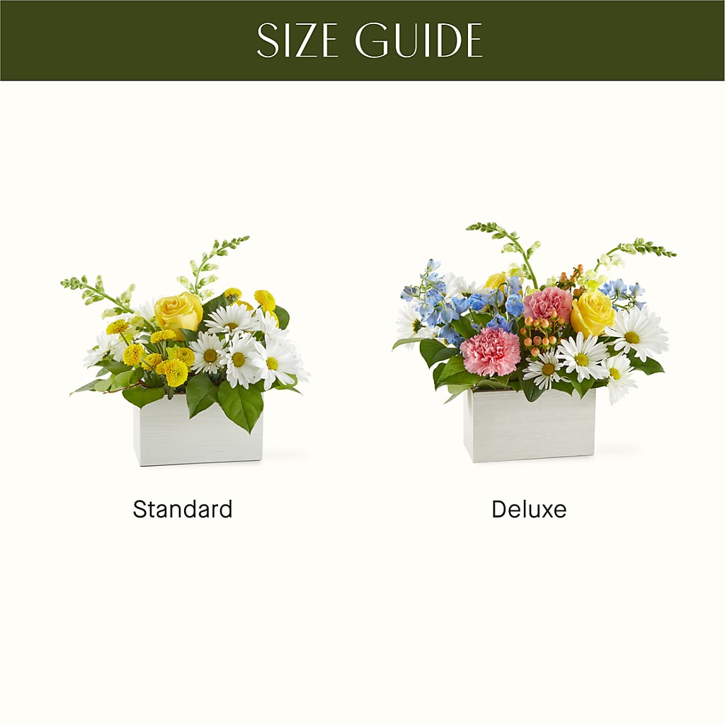Sun Salutation Box Bouquet –  Dutch Floral, Edina MO
