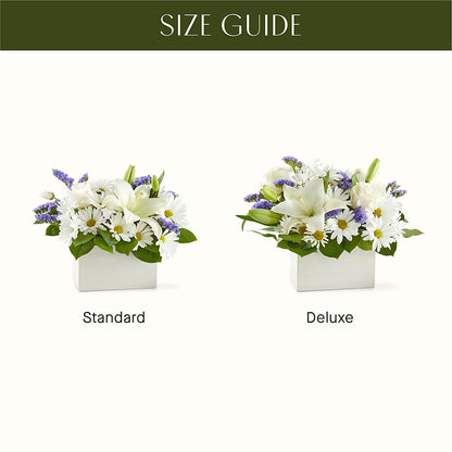 Beyond Blue Box Bouquet –  Dutch Floral, Edina MO