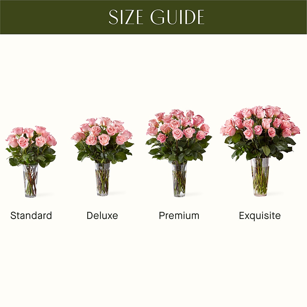 Long Stem Pink Rose Bouquet –  Dutch Floral, Edina MO