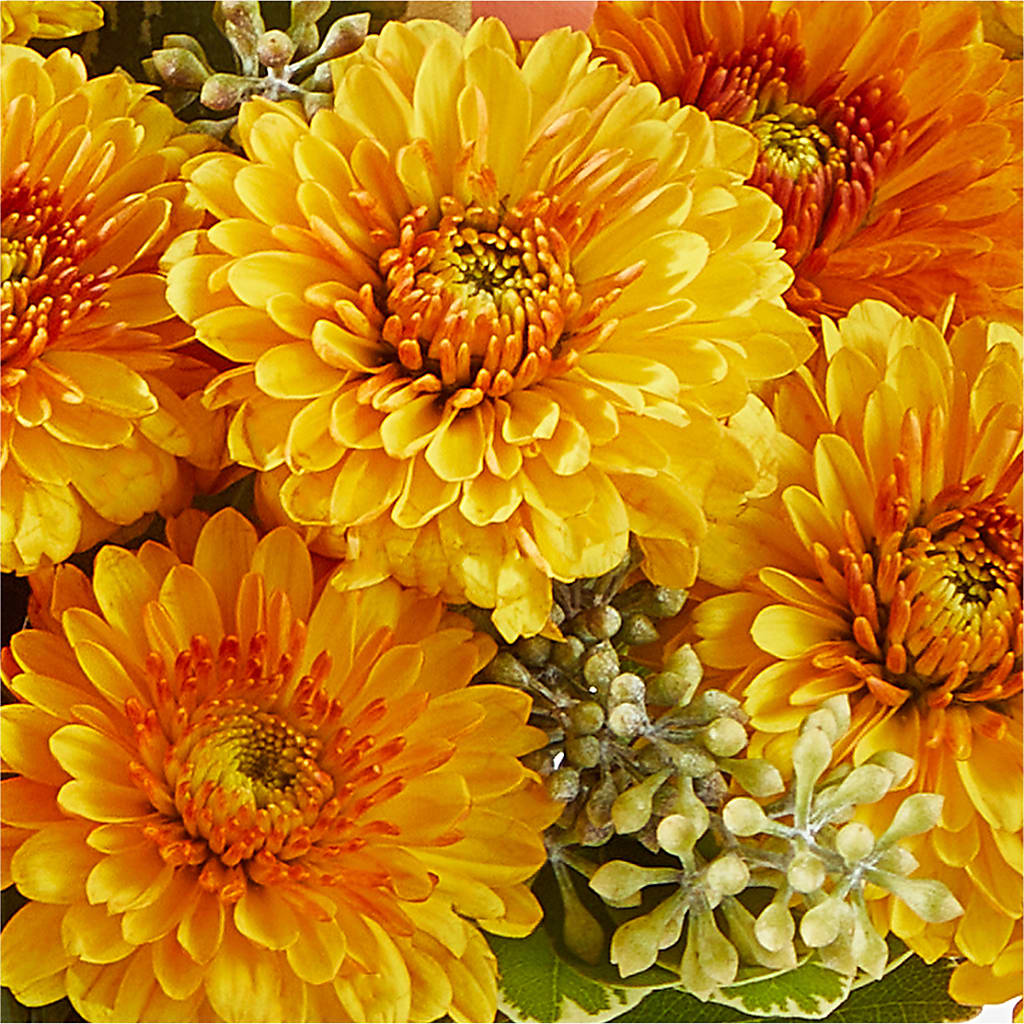 Peachy Pumpkin –  Dutch Floral, Edina MO