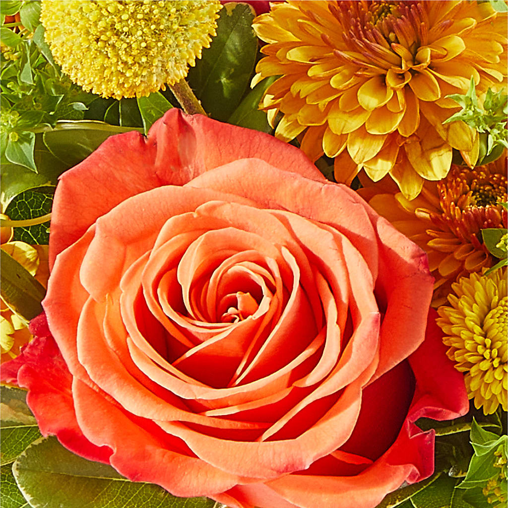Gourdgeous Pumpkin –  Dutch Floral, Edina MO