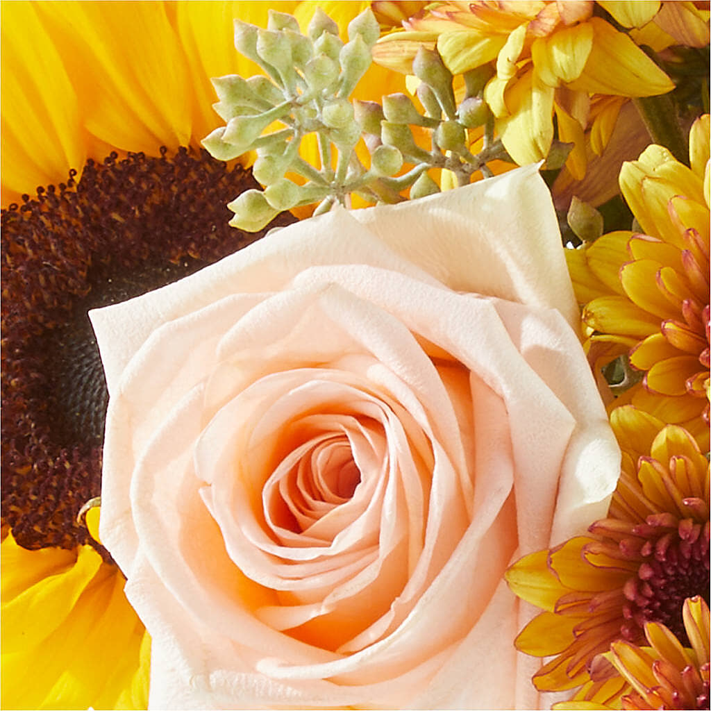 Pumpkin to Talk About Bouquet –  Dutch Floral, Edina MO
