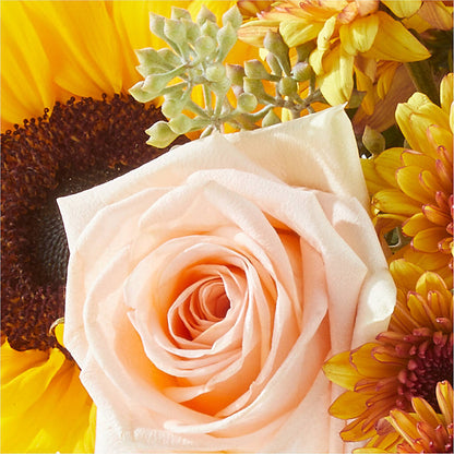 Pumpkin to Talk About Bouquet –  Dutch Floral, Edina MO
