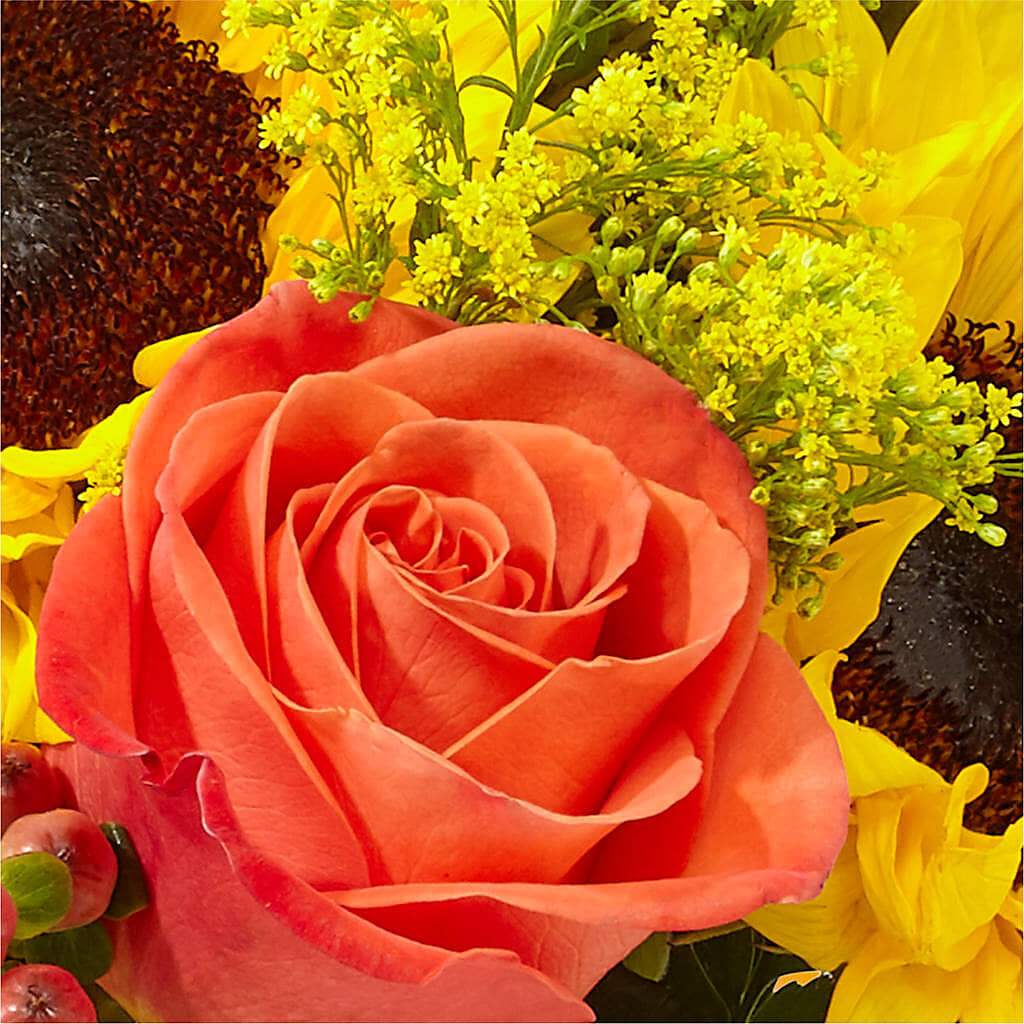 Pick of the Patch Pumpkin Bouquet –  Dutch Floral, Edina MO