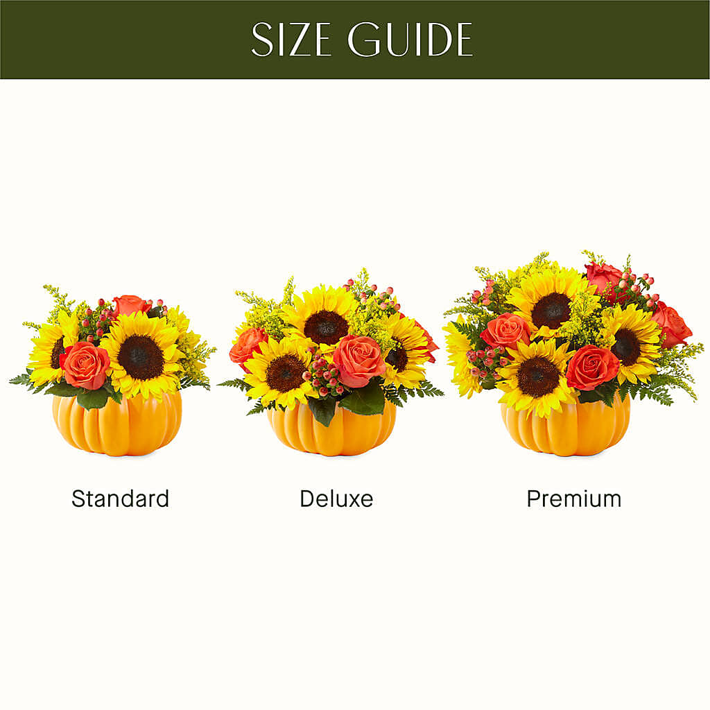 Pick of the Patch Pumpkin Bouquet –  Dutch Floral, Edina MO
