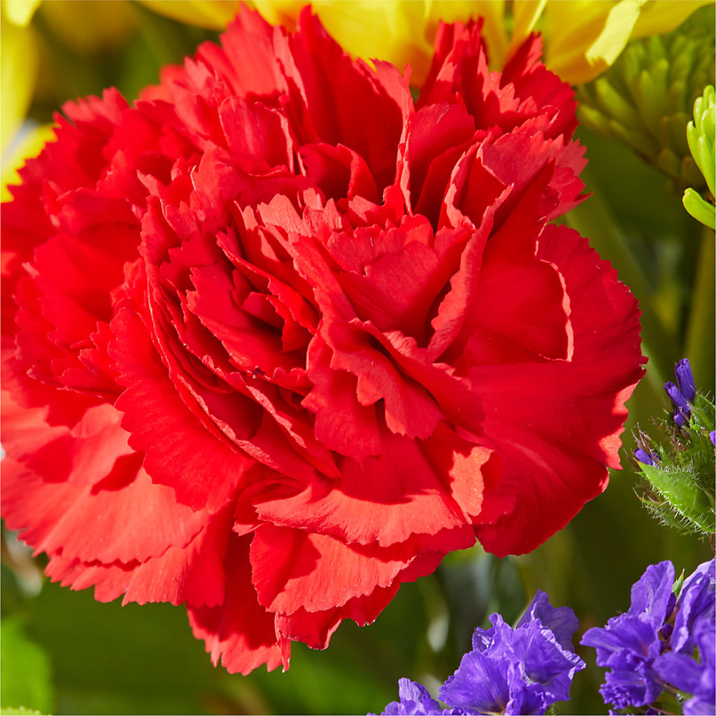 Brighter Days Bouquet –  Dutch Floral, Edina MO