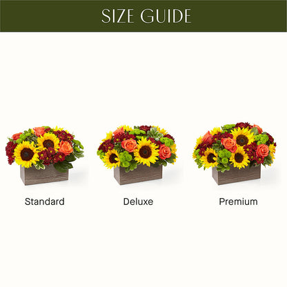 Happy Harvest Garden –  Dutch Floral, Edina MO