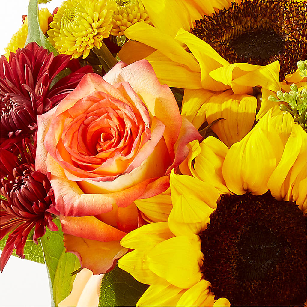 Golden Gourd Pumpkin Bouquet –  Dutch Floral, Edina MO