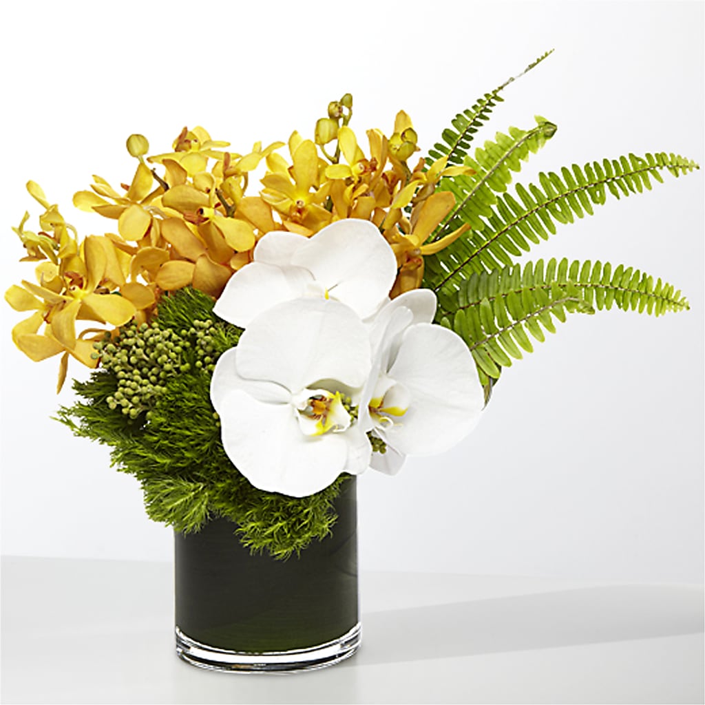 The Tropics –  Dutch Floral, Edina MO