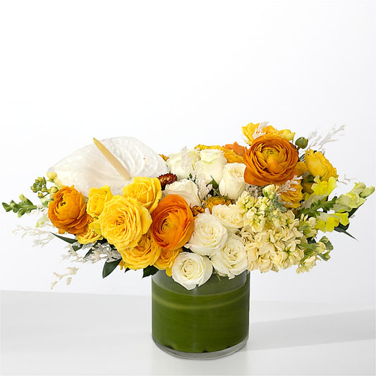 The Optimist –  Dutch Floral, Edina MO