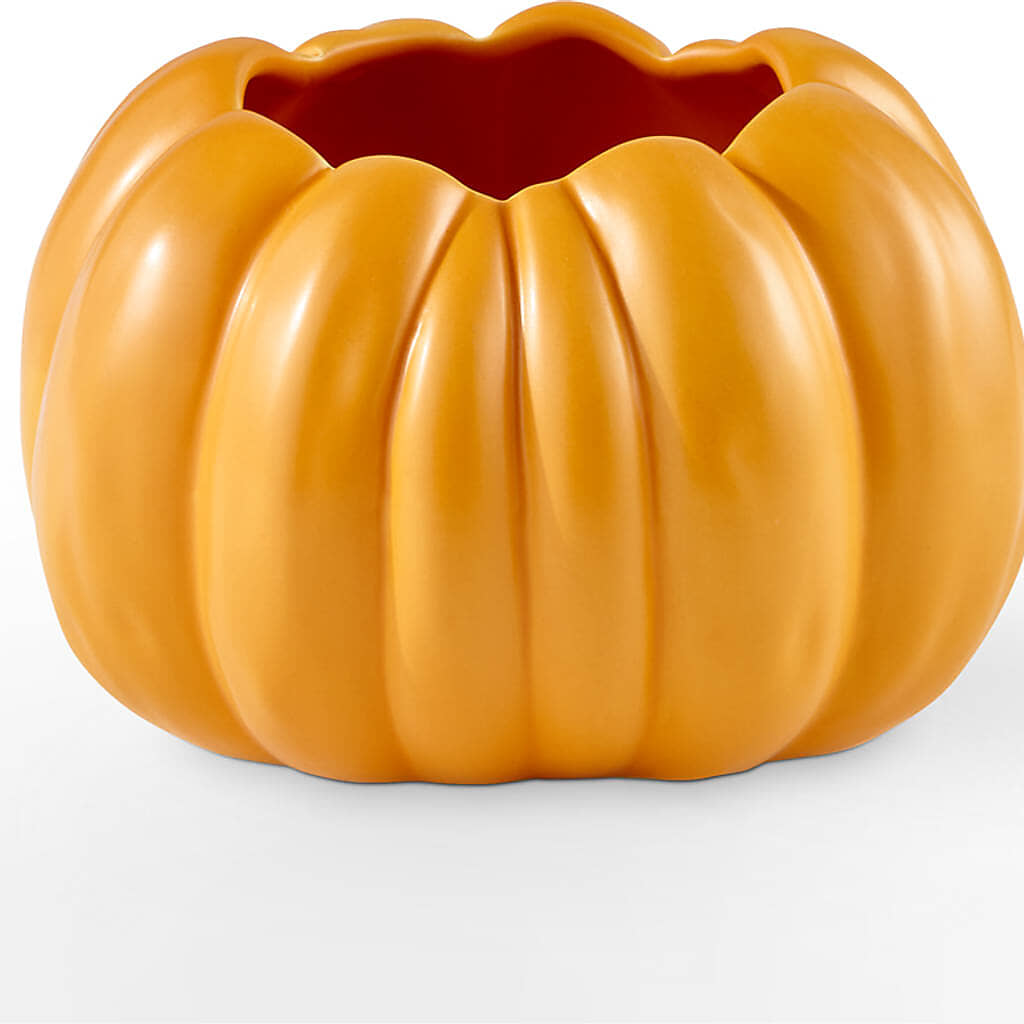 Golden Gourd Pumpkin Bouquet –  Dutch Floral, Edina MO