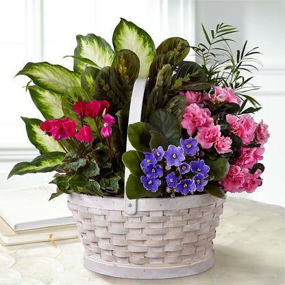 Peaceful Garden Planter –  Dutch Floral, Edina MO