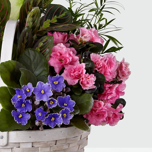 Peaceful Garden Planter –  Dutch Floral, Edina MO