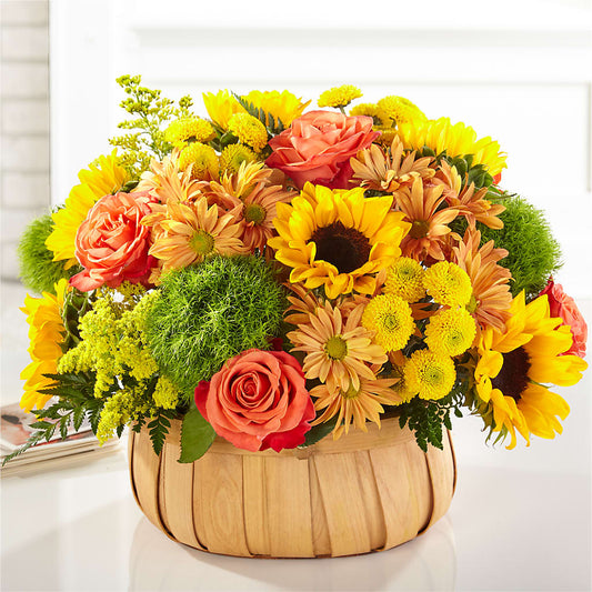 Harvest Sunflower Basket –  Dutch Floral, Edina MO