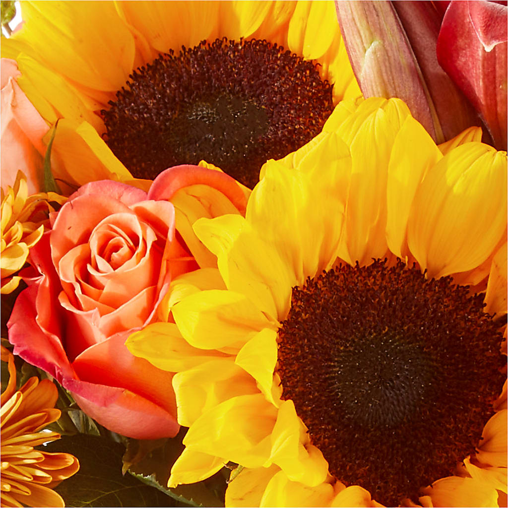 Acorn Lane Bouquet –  Dutch Floral, Edina MO