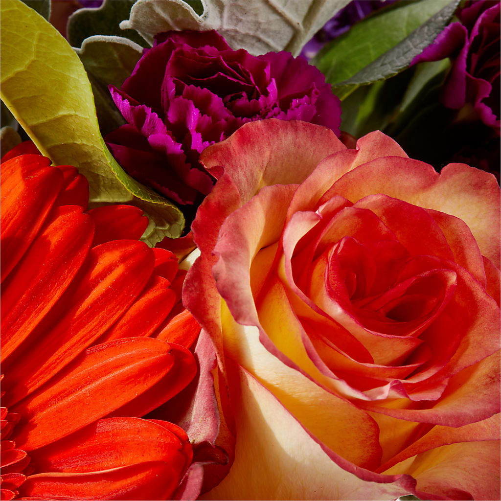 Sangria Bouquet –  Dutch Floral, Edina MO