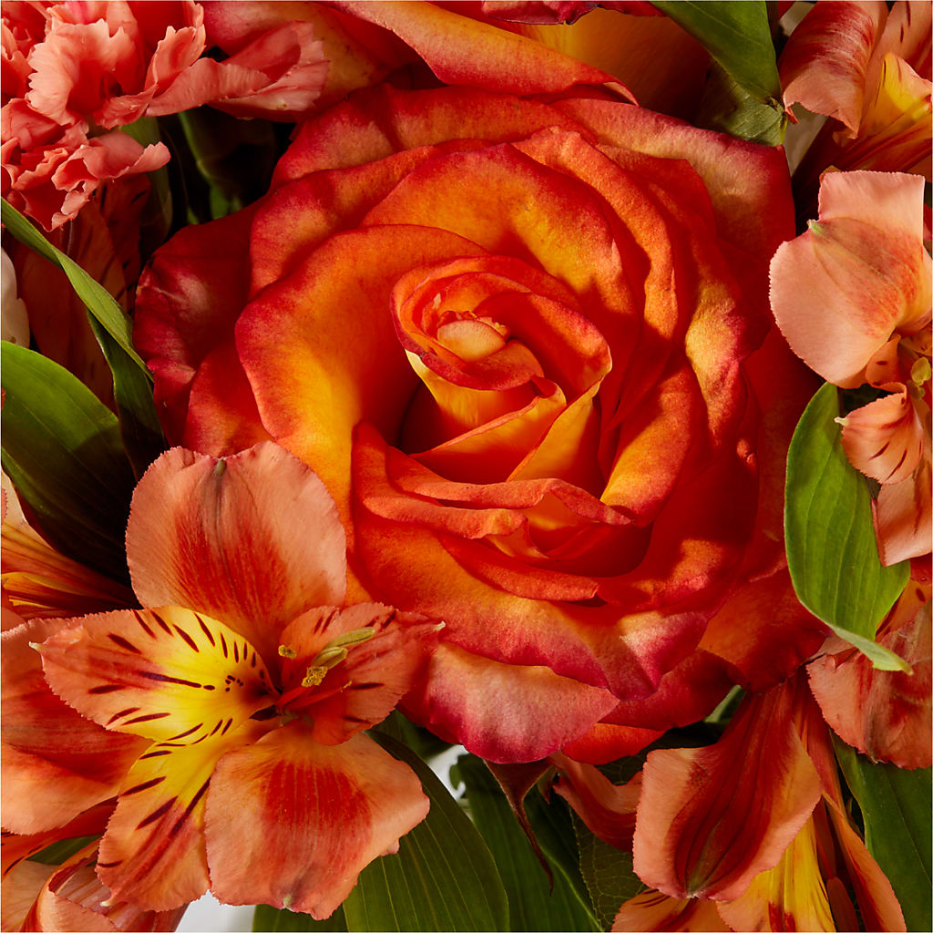 Apricot Glow Bouquet –  Dutch Floral, Edina MO