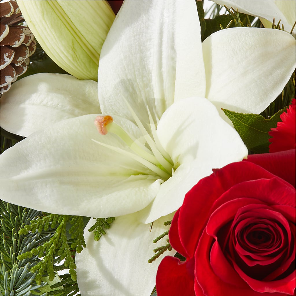 Oh So Jolly Bouquet –  Dutch Floral, Edina MO